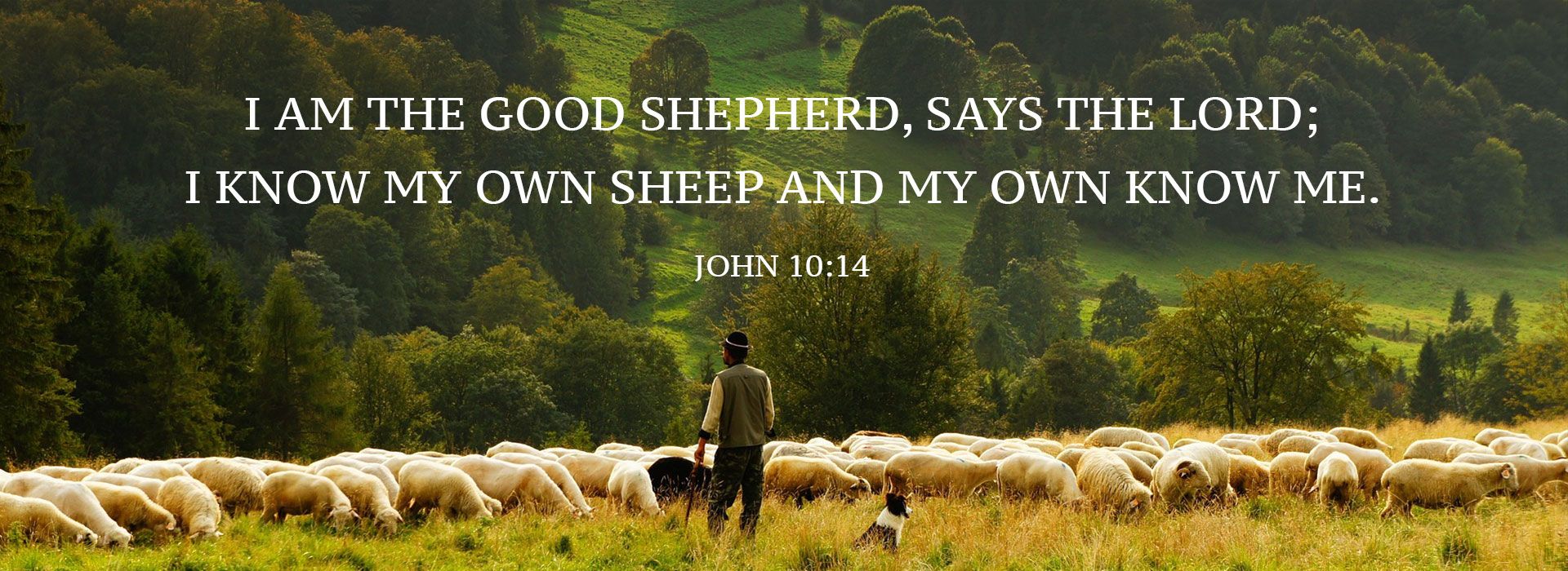 Good Shepherd Sunday