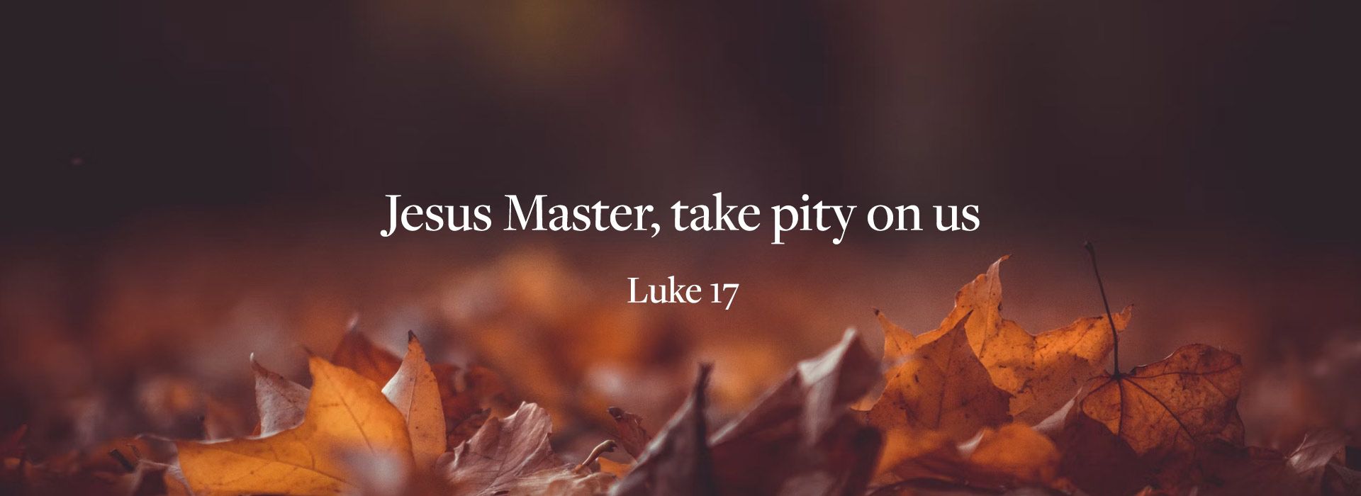 Give thnaks to the Lord- 28th Sunday.