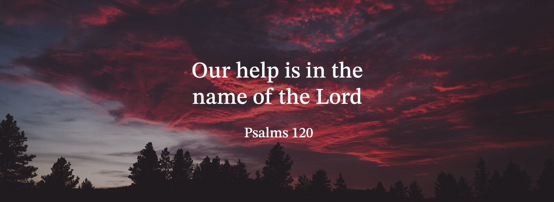 29th Sunday in Ordinary Time