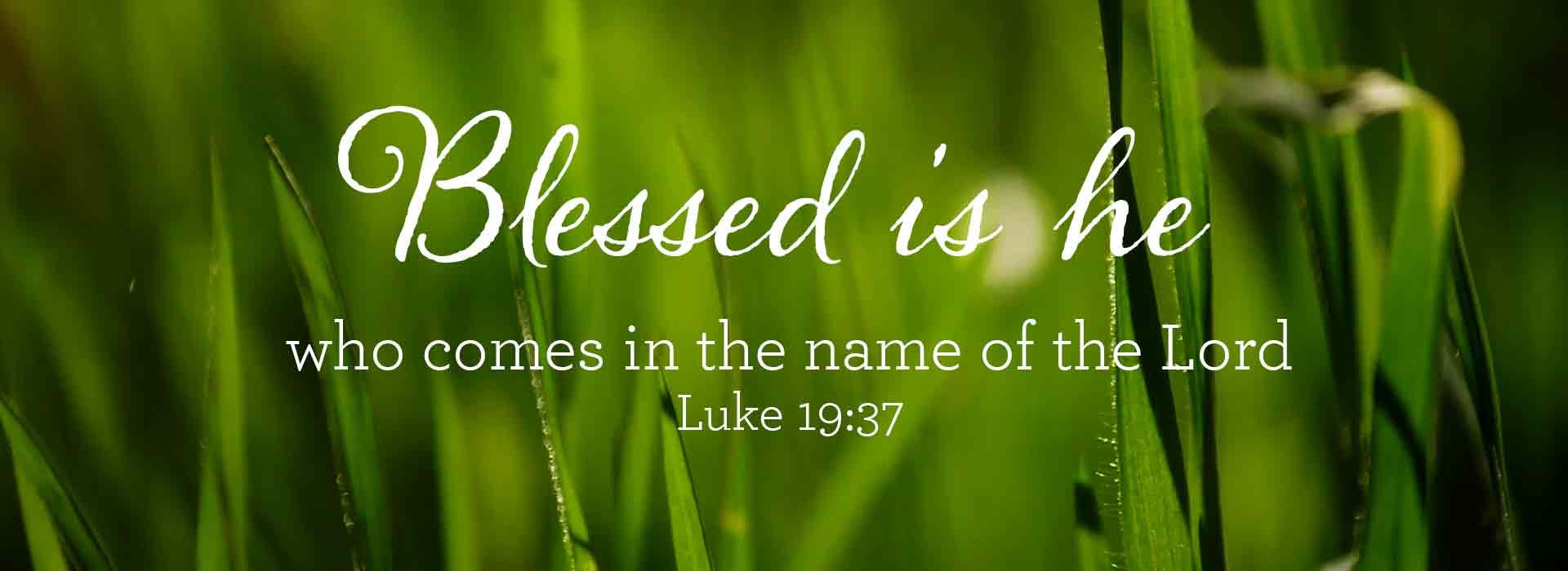 Palm Sunday - 6th Sunday of Lent